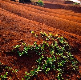 微软将更新Xbox主机 使主机具有低碳意识